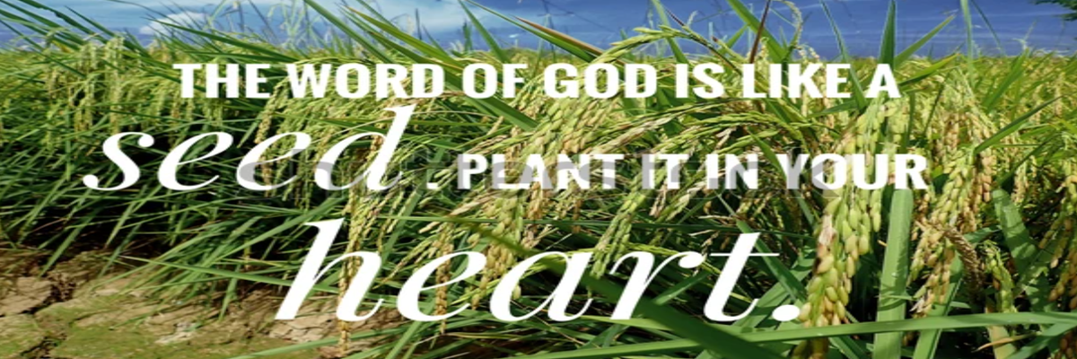 The church in Manalapan