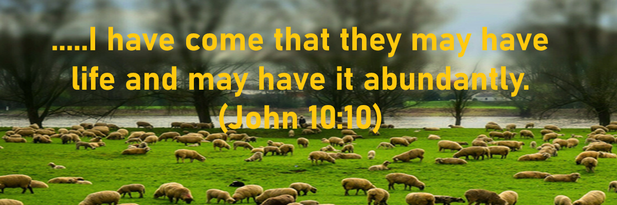 The church in Manalapan